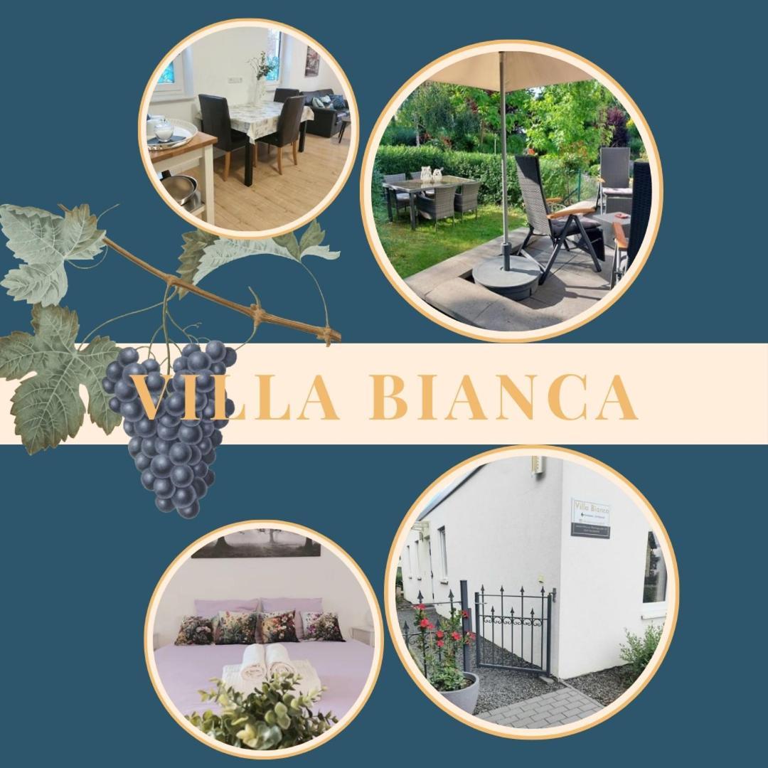 Villa Bianca - Holiday & Business Elsenfeld Zewnętrze zdjęcie